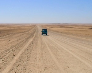 Desert Survival Tips