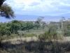 Scene in Ngorongoro Crate