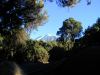 Mweka Camp - view of the top - Kilimanjaro