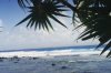 Mauritius Ocean scene