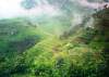 Bwindi Region - Uganda