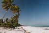 East Coast Beach - Zanzibar