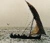 Dhow - Zanzibar