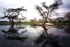 lake tana