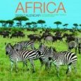 Africa -  Wildlife 2009 Calendar