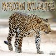 2009 African Wildlife Wall Calendar 