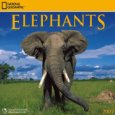 National Geographic Elephants 2009 Calendar 