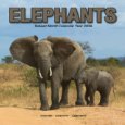 2009 Elephants Wall Calendar