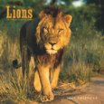 Lions 2009 Square Wall Calendar