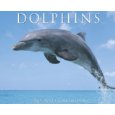 Dolphins 2009 Calendar 