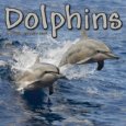 2009 Dolphins Wall Calendar