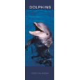 Dolphins 2009 Slimline Calendar 