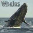 2009 Whales Wall Calendar