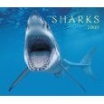 Sharks 2009 (Calendar) 