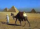 Honeymoon Holiday in Egypt